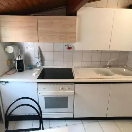 Sanremo's Navel 1 Citra 008055-lt-0809 *