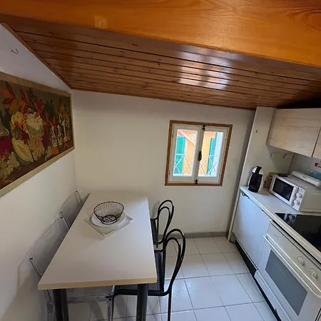 Sanremo's Navel 1 Citra 008055-lt-0809 *