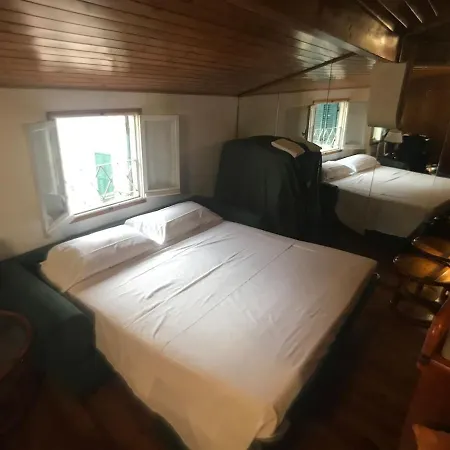 Sanremo's Navel 1 Citra 008055-lt-0809 San Remo